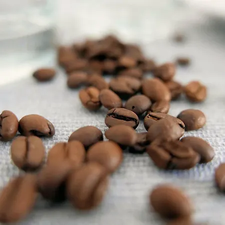 CHILLIapartamenty - Bliżej Morza - ESPRESSO-2